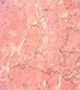 Travertine Rosso